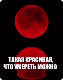 🥰 emoji Moon Telegram sticker 8 of 16