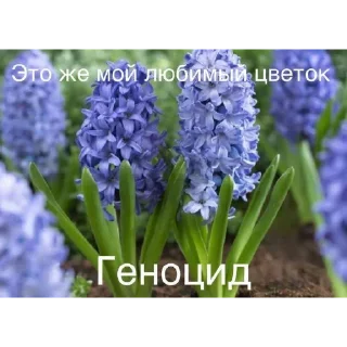 🥰 emoji ПИЗДА ОЧКО Telegram sticker 12 of 78