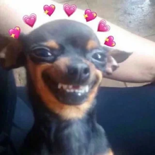 💕 emoji Mental Telegram sticker 13 of 50