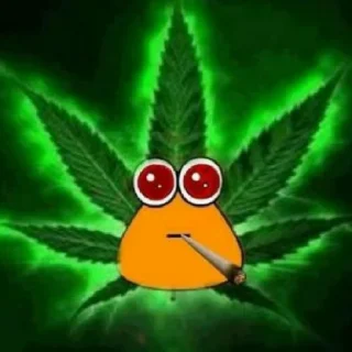 Sticker from габелен💥💥💥💥
