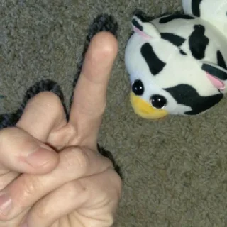 🖕 emoji габелен💥💥💥💥 Telegram sticker 15 of 40
