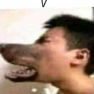 🐺 emoji габелен💥💥💥💥 Telegram sticker 17 of 40