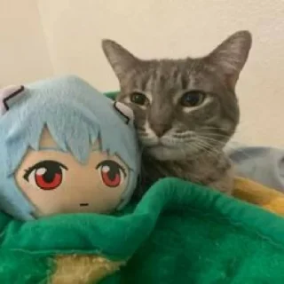 😾 emoji габелен💥💥💥💥 Telegram sticker 8 of 40