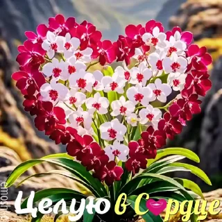 💝 emoji @emoshko Любовь Telegram sticker 12 of 75
