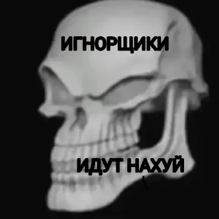 Sticker from Arturpersey_stickerpack