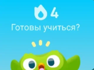 Sticker from Duolingo @sozdat_stikery_bot