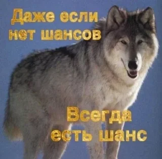 🌟 emoji Ауфе Telegram sticker 2 of 17