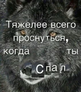 🌟 emoji Ауфе Telegram sticker 11 of 17
