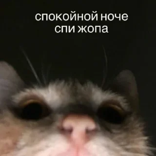 😙 emoji Китик Су) Telegram sticker 19 of 23