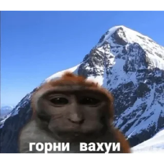 Sticker from Вахуи > @bibizyankii