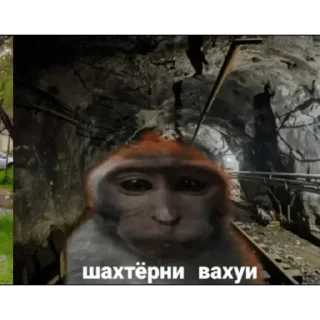 Sticker from Вахуи > @bibizyankii