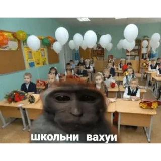 Sticker from Вахуи > @bibizyankii