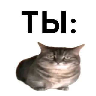 Sticker from Кокоа вахуи