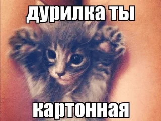 Sticker from Что то 9