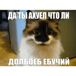 Sticker from говно