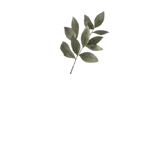 🌿 emoji @Reminder_To_Mankind | 🌿 Telegram sticker 7 of 17