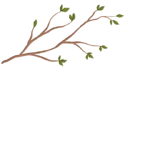 🌿 emoji @Reminder_To_Mankind | 🌿 Telegram sticker 17 of 17