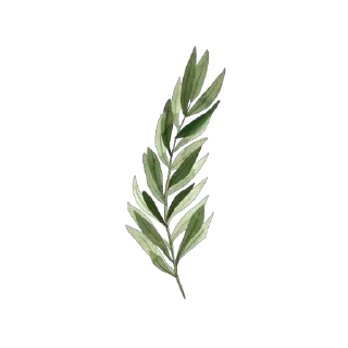 🌿 emoji @Reminder_To_Mankind | 🌿 Telegram sticker 14 of 17