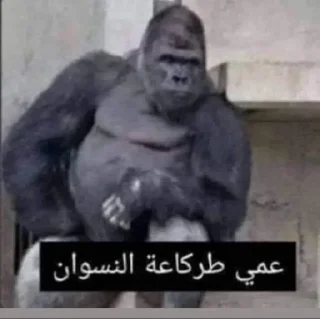 🦍 emoji Unknown Telegram sticker 4 of 89