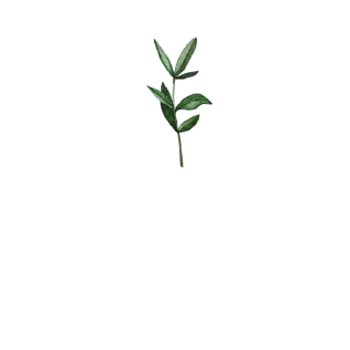 🌿 emoji @Reminder_To_Mankind | 🌿 Telegram sticker 13 of 17