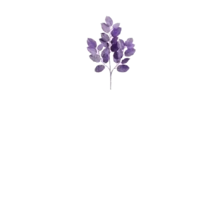 🪻 emoji @Reminder_To_Mankind | 🌿 Telegram sticker 9 of 17