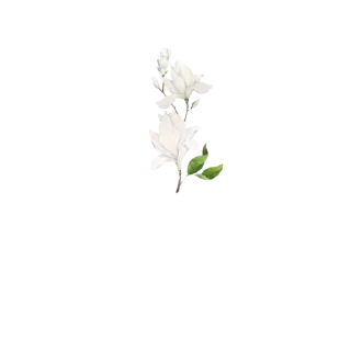 🌷 emoji @Reminder_To_Mankind | 🌿 Telegram sticker 12 of 17