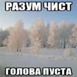 Sticker from хуйня