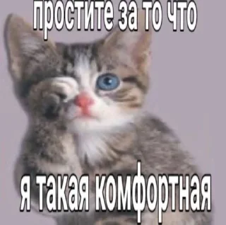 Sticker from хуйня