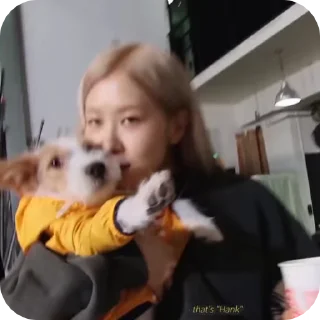 Sticker from Rose BlackPink - eshliqon