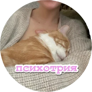 🤪 emoji Алекс Telegram sticker 23 of 32