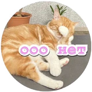 😬 emoji Алекс Telegram sticker 16 of 32