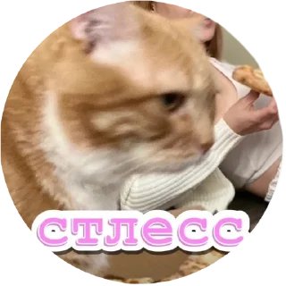 😥 emoji Алекс Telegram sticker 11 of 32