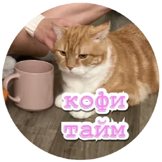 ☕️ emoji Алекс Telegram sticker 12 of 32