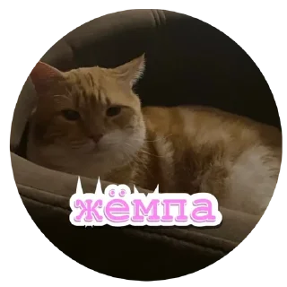 🙂 emoji Алекс Telegram sticker 9 of 32