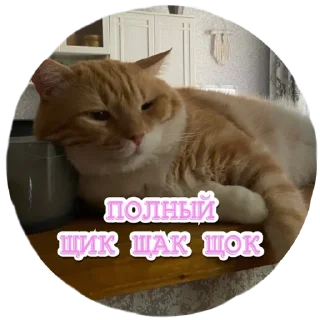🫨 emoji Алекс Telegram sticker 7 of 32