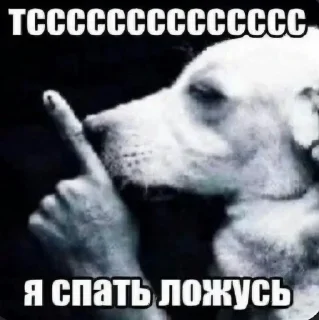 🌟 emoji Завтрашний байден Telegram sticker 6 of 69