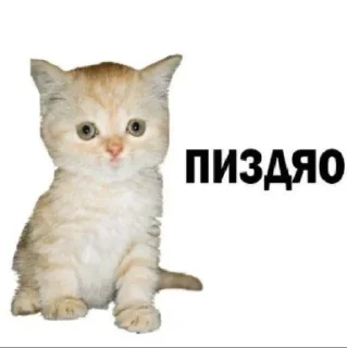 🥲 emoji Mems213 Telegram sticker 24 of 34