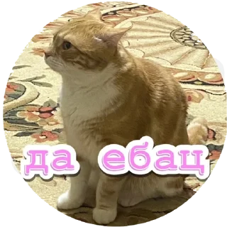 😨 emoji Алекс Telegram sticker 15 of 32