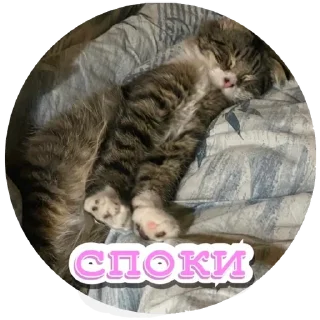 😴 emoji Алекс Telegram sticker 22 of 32