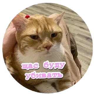 😡 emoji Алекс Telegram sticker 18 of 32