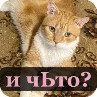 😏 emoji Алекс Telegram sticker 5 of 32