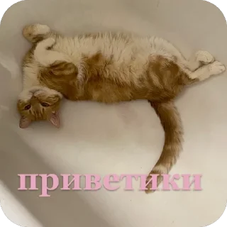 🥰 emoji Алекс Telegram sticker 2 of 32