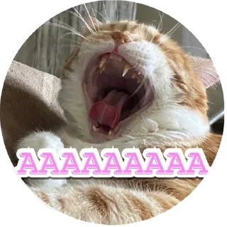 🤯 emoji Алекс Telegram sticker 21 of 32