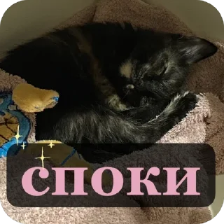 😴 emoji Алекс Telegram sticker 6 of 32