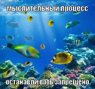 🌟 emoji Завтрашний байден Telegram sticker 21 of 69