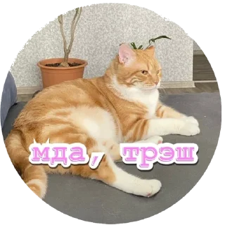 😕 emoji Алекс Telegram sticker 19 of 32