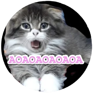 😱 emoji Алекс Telegram sticker 10 of 32