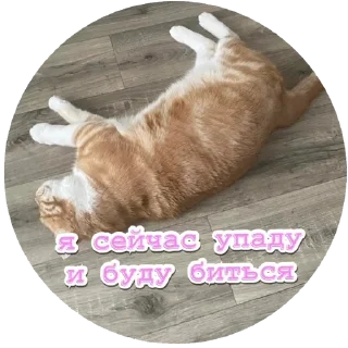 😫 emoji Алекс Telegram sticker 14 of 32