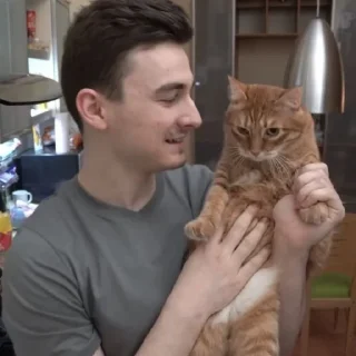🐈 emoji брайн мапс!! Telegram sticker 10 of 59