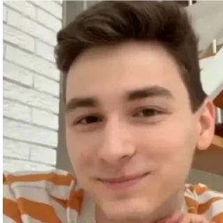 🙂 emoji Брайн Мапс Telegram sticker 15 of 21